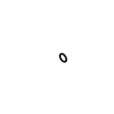 left view of oring toric joint